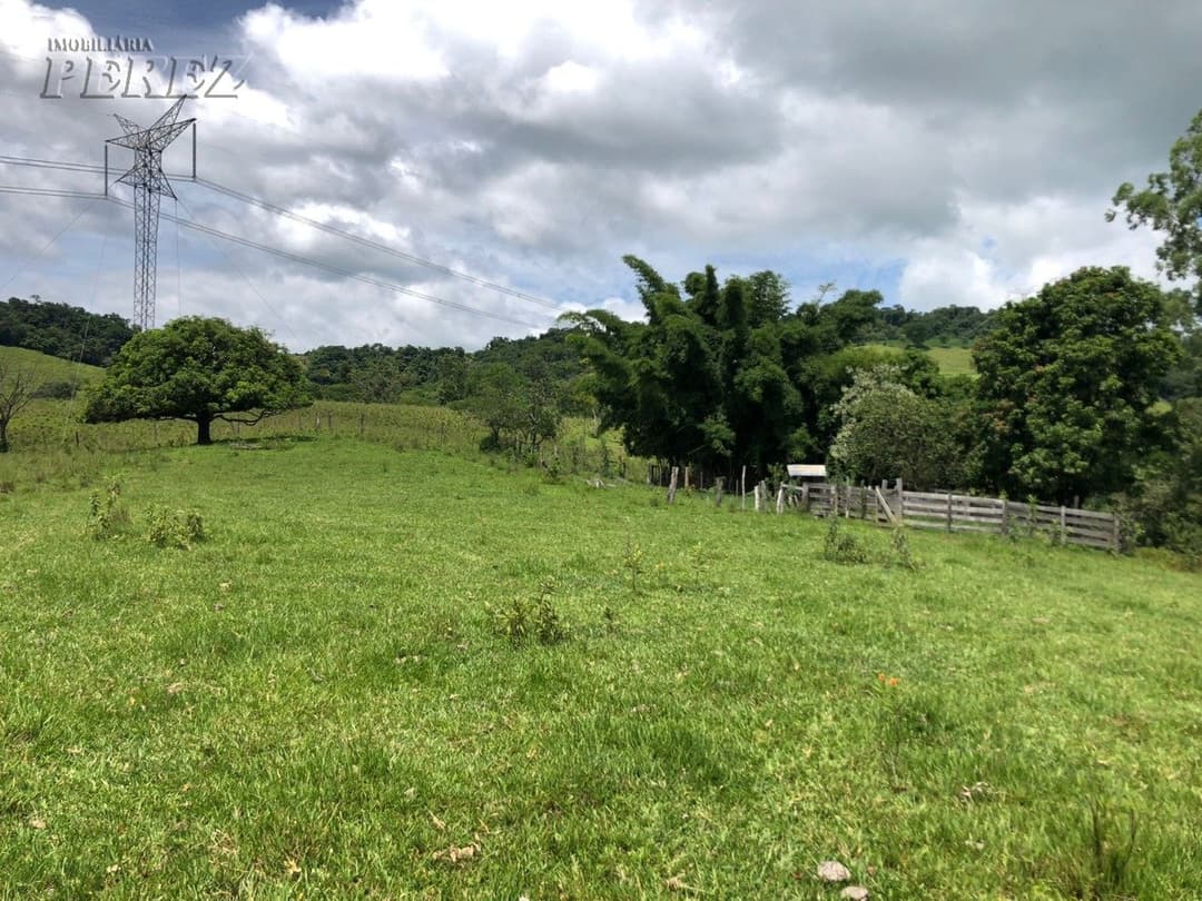 Imóveis Rurais, de 1 quarto à venda no Marumbi - Faxinal/PR - Foto 7