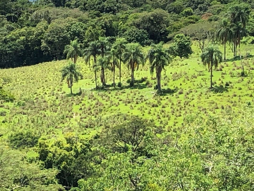 Imóveis Rurais, de 1 quarto à venda no Marumbi - Faxinal/PR - Foto 9