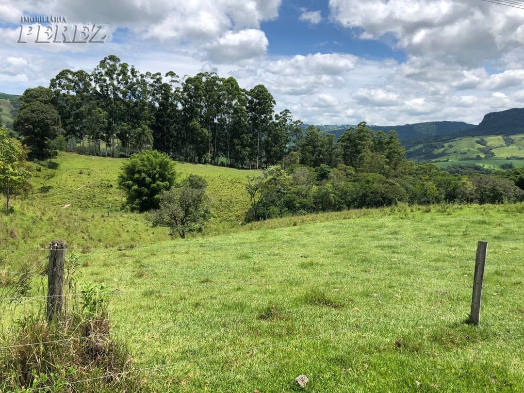 Imóveis Rurais, de 1 quarto à venda no Marumbi - Faxinal/PR - Foto 10
