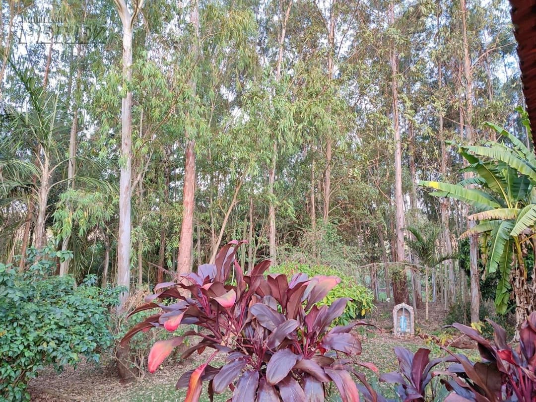 Terrenos no Recanto Beija Flor à venda no Maravilha - Maravilha (Londrina)/PR - Foto 5