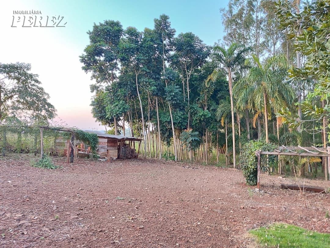 Terrenos no Recanto Beija Flor à venda no Maravilha - Maravilha (Londrina)/PR - Foto 6