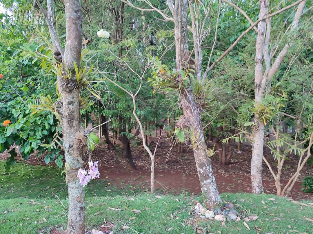Terrenos no Recanto Beija Flor à venda no Maravilha - Maravilha (Londrina)/PR - Foto 7