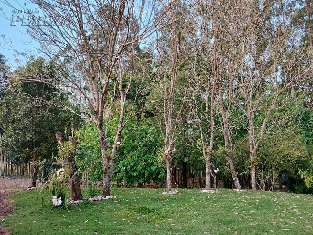 Terrenos no Recanto Beija Flor à venda no Maravilha - Maravilha (Londrina)/PR - Foto 14