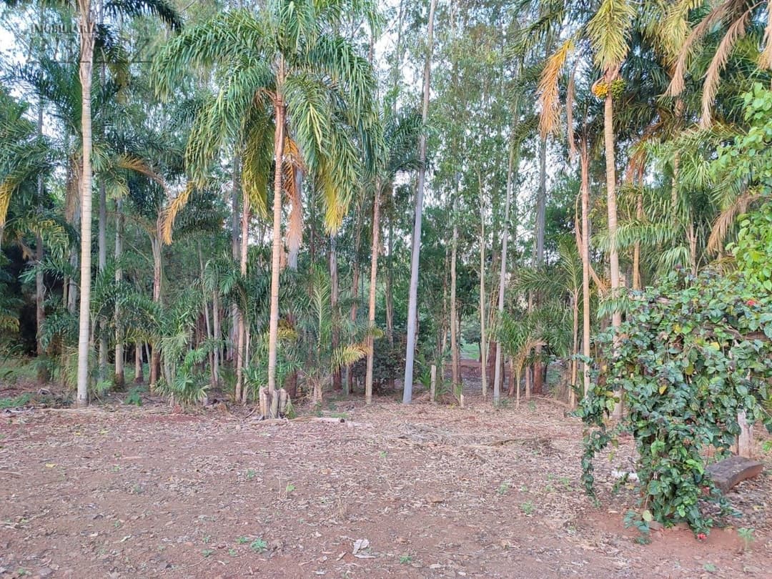 Terrenos no Recanto Beija Flor à venda no Maravilha - Maravilha (Londrina)/PR - Foto 16