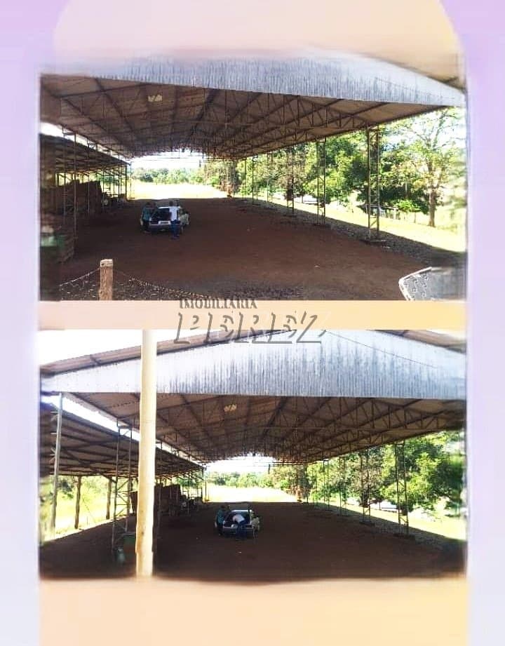Chácara para alugar na Estancia Coroados - Londrina - Foto 24