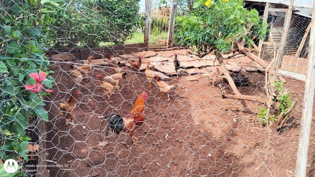 Imóveis Rurais no Condomínio De Chácaras Itaúna, de 3 quartos, 250 m² à venda no Ibiporã - Ibiporã/PR - Foto 34