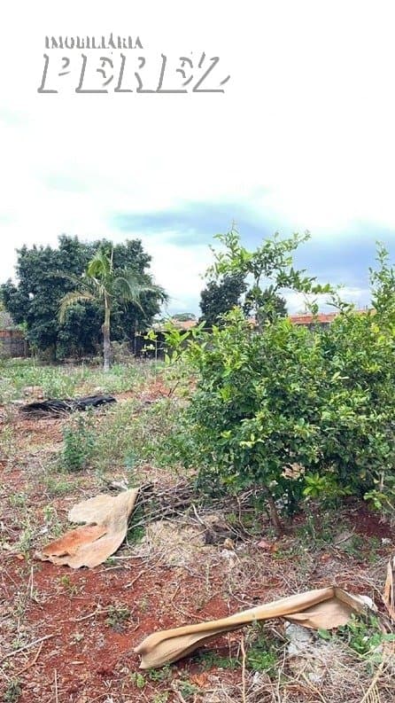 Terrenos à venda no Vila Oliveira - Rolândia/PR - Foto 5