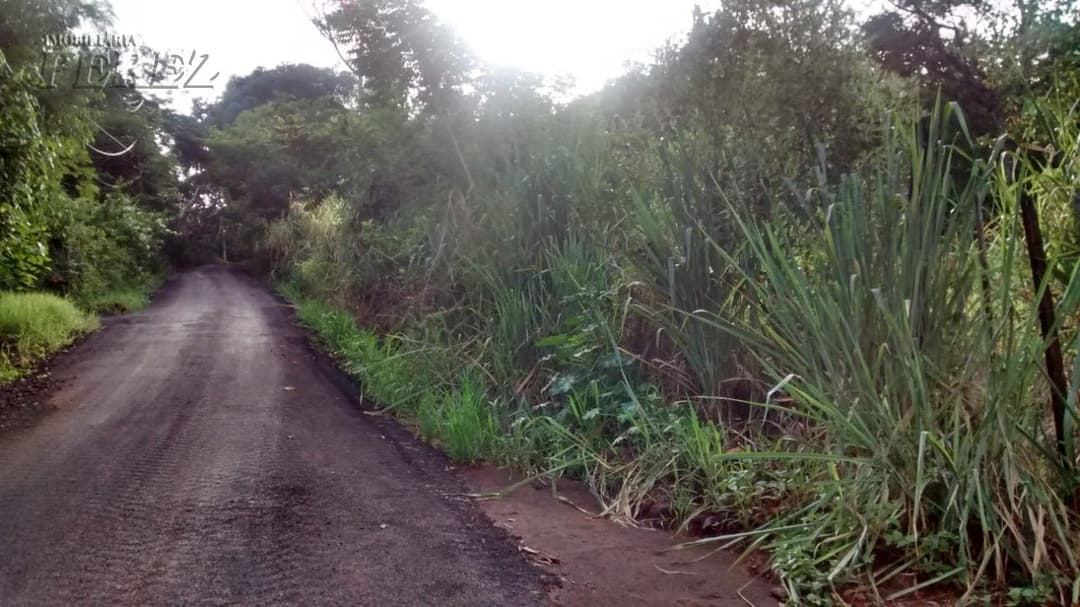 Imóveis Rurais, de 2 quartos à venda no Chácaras Ponte Seca - Londrina/PR - Foto 16