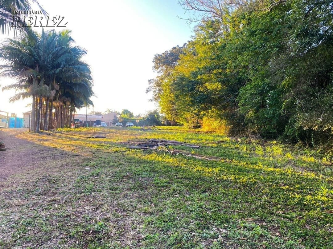 Terrenos à venda no Gleba Palhano - Londrina/PR - Foto 4