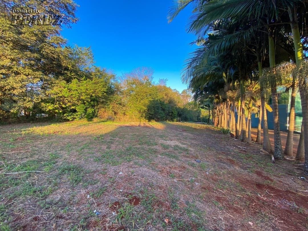 Terrenos à venda no Gleba Palhano - Londrina/PR - Foto 5
