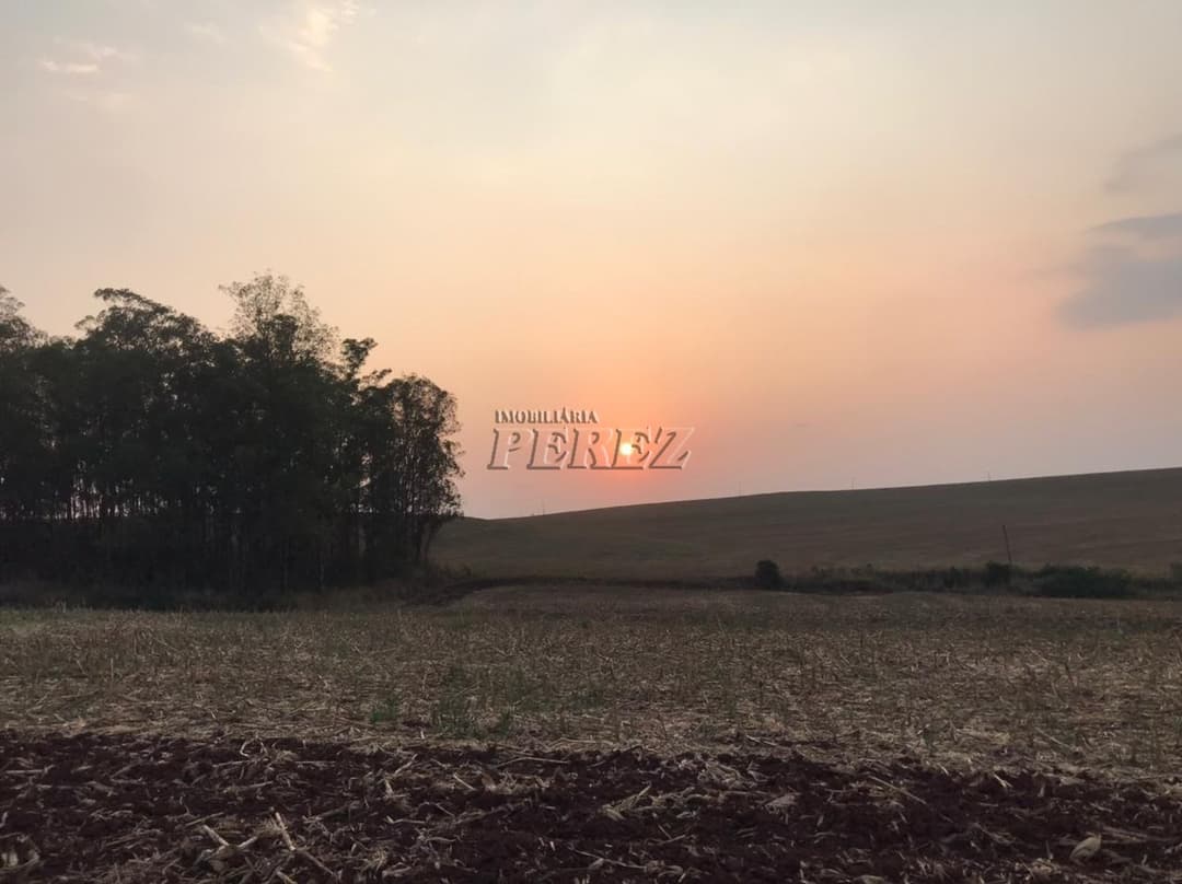 Sítio a venda na  Estrada Coronel Santos, Guairacá Londrina. - Foto 2