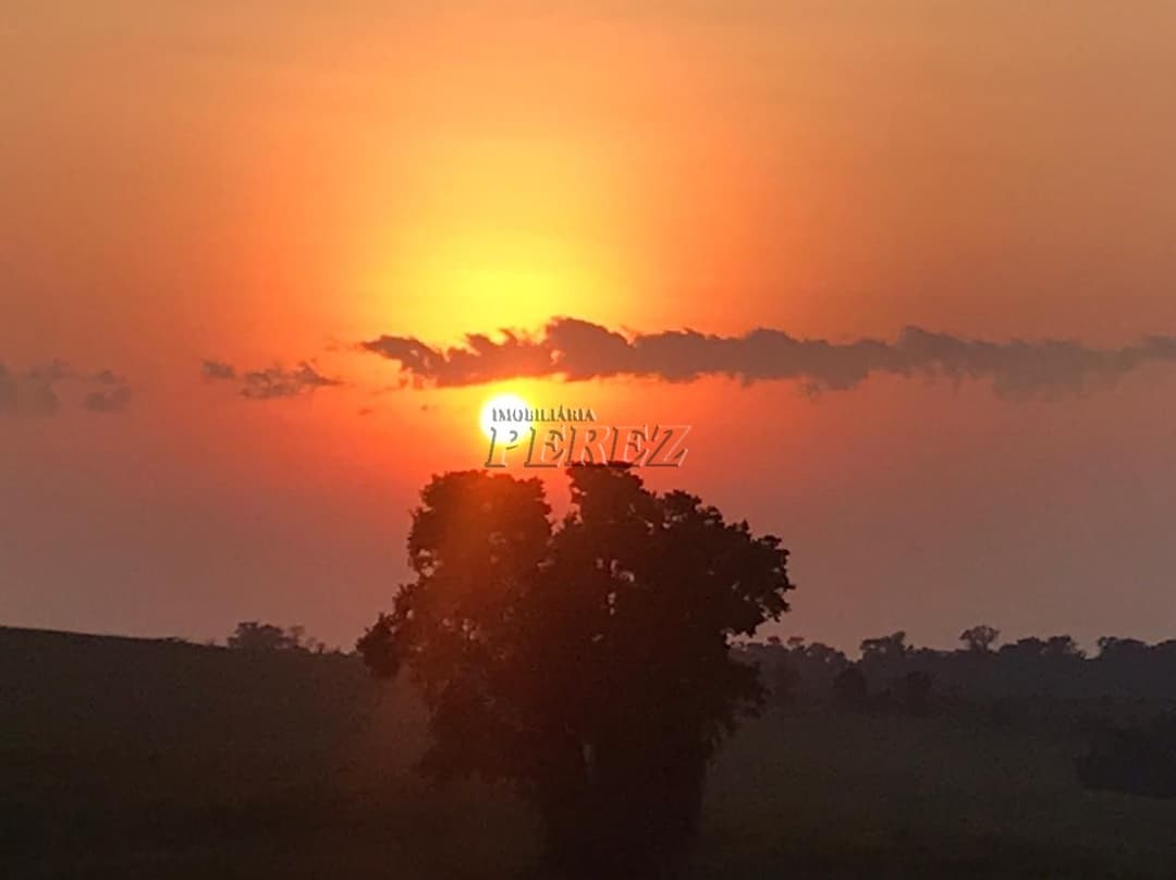Sítio a venda na  Estrada Coronel Santos, Guairacá Londrina. - Foto 3