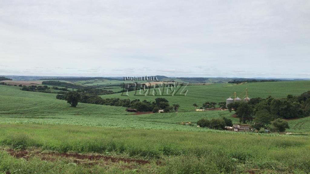 Sítio a venda na  Estrada Coronel Santos, Guairacá Londrina. - Foto 5