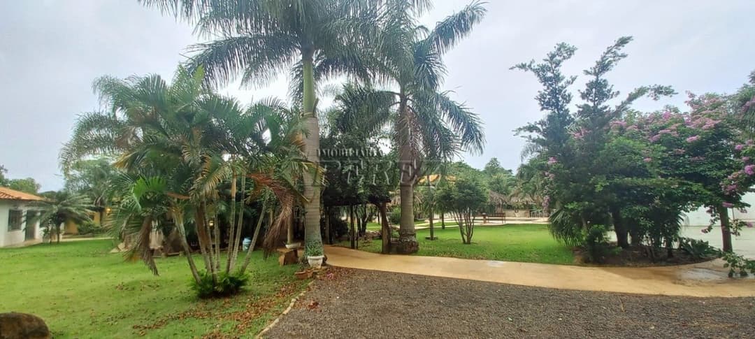 Imóveis Rurais, de 5 quartos, 1000 m² para alugar no Limoeiro - Londrina/PR - Foto 27
