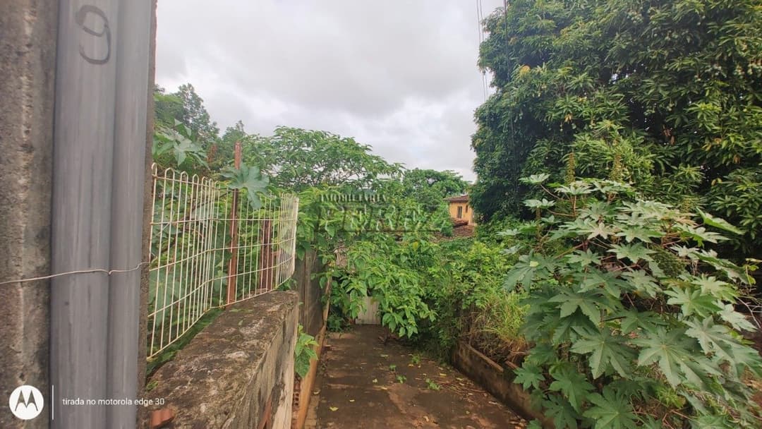Terrenos à venda no Panorama - Londrina/PR - Foto 3