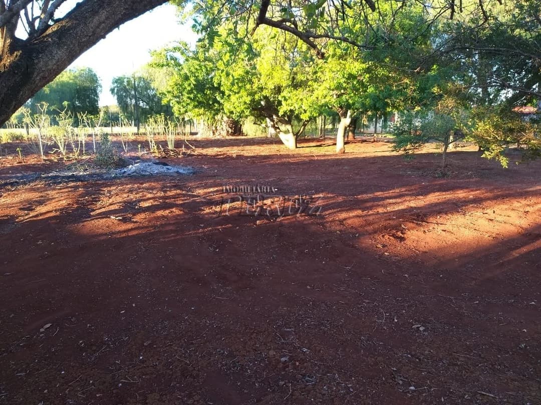 Imóveis Rurais no Estancia Favoreto, de 1 quarto à venda no Area Rural - Sertanópolis/PR - Foto 2