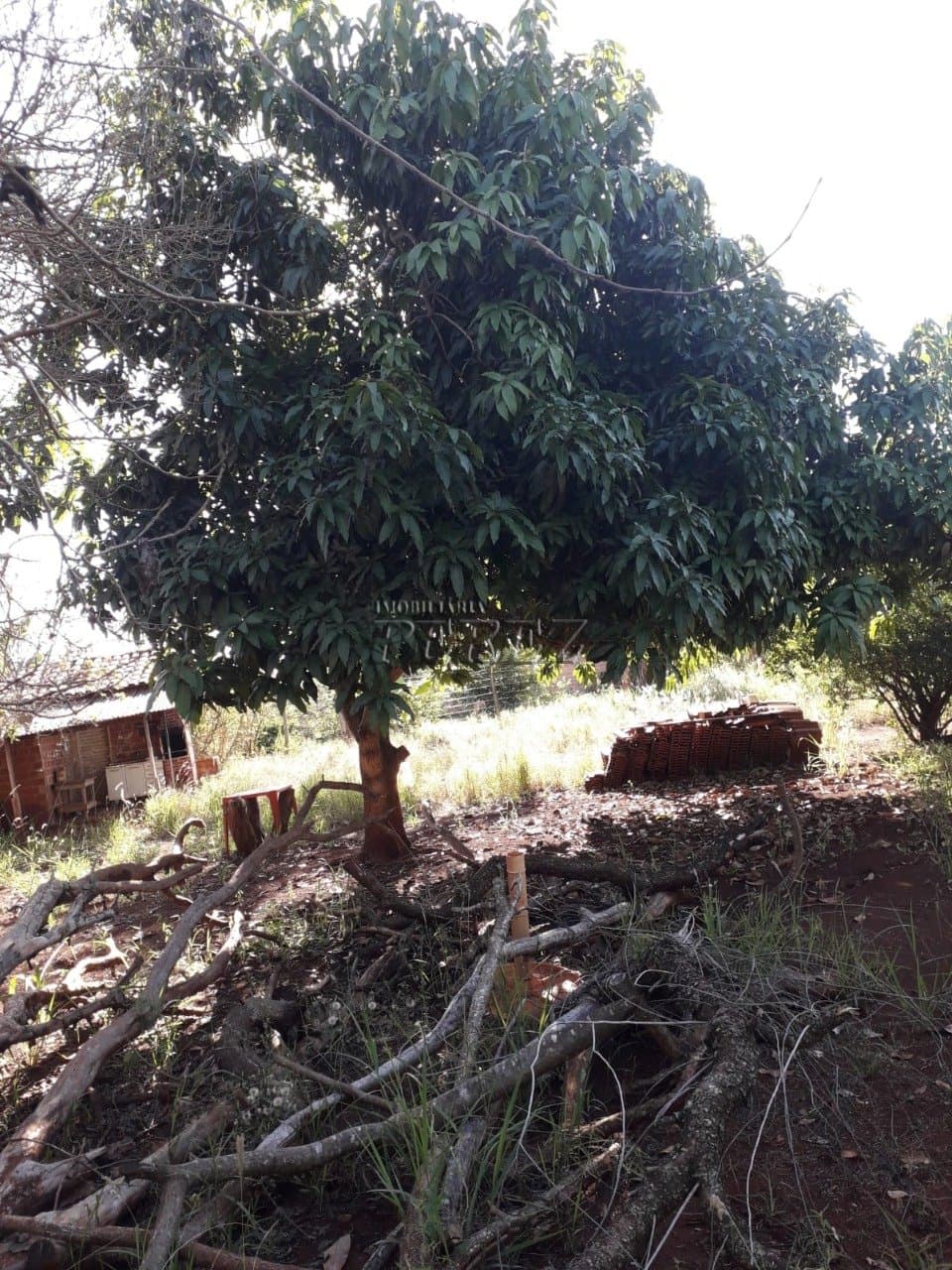 Imóveis Rurais no Estancia Favoreto, de 1 quarto à venda no Area Rural - Sertanópolis/PR - Foto 16