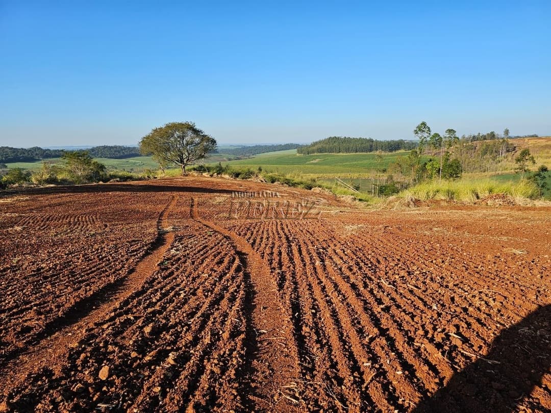 Imóveis Rurais no Fazenda Boa Saúde, de 1 quarto, 200 m² à venda no Area Rural - Paiquerê (Londrina)/PR - Foto 9