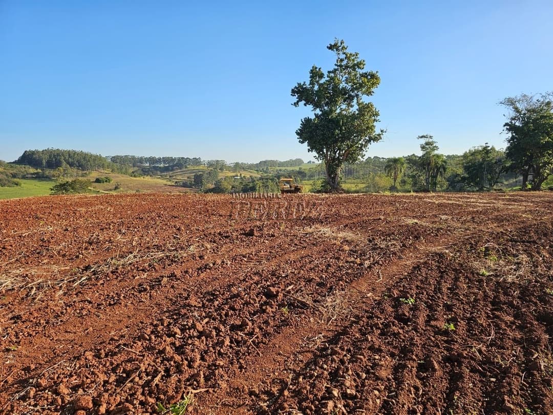 Imóveis Rurais no Fazenda Boa Saúde, de 1 quarto, 200 m² à venda no Area Rural - Paiquerê (Londrina)/PR - Foto 8