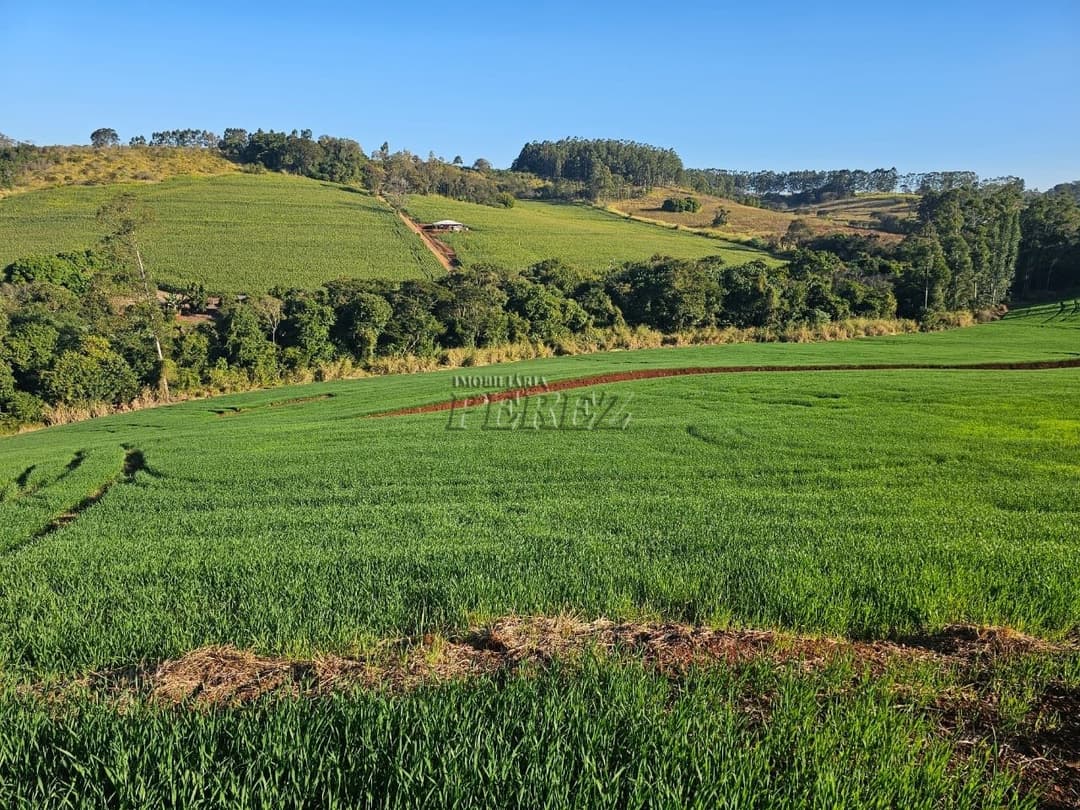 Imóveis Rurais no Fazenda Boa Saúde, de 1 quarto, 200 m² à venda no Area Rural - Paiquerê (Londrina)/PR - Foto 12