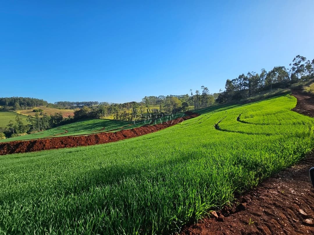 Imóveis Rurais no Fazenda Boa Saúde, de 1 quarto, 200 m² à venda no Area Rural - Paiquerê (Londrina)/PR - Foto 11