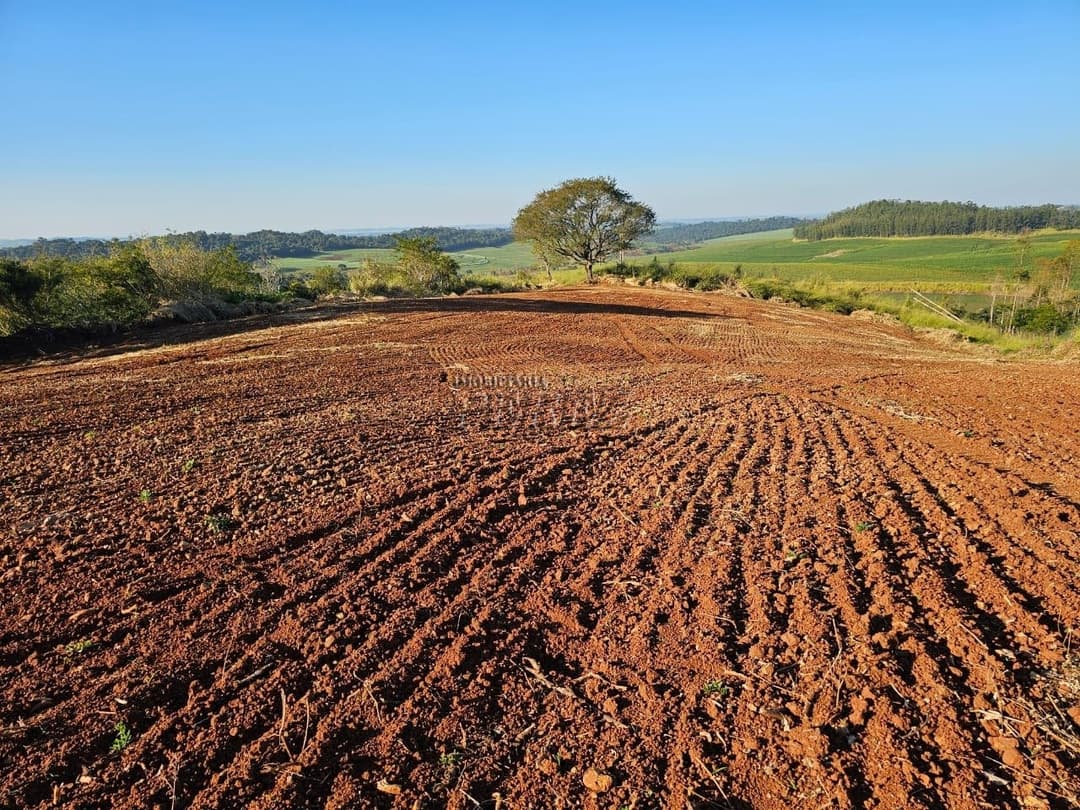 Imóveis Rurais no Fazenda Boa Saúde, de 1 quarto, 200 m² à venda no Area Rural - Paiquerê (Londrina)/PR - Foto 6