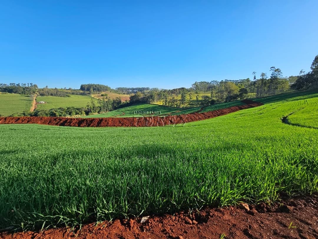 Imóveis Rurais no Fazenda Boa Saúde, de 1 quarto, 200 m² à venda no Area Rural - Paiquerê (Londrina)/PR - Foto 15