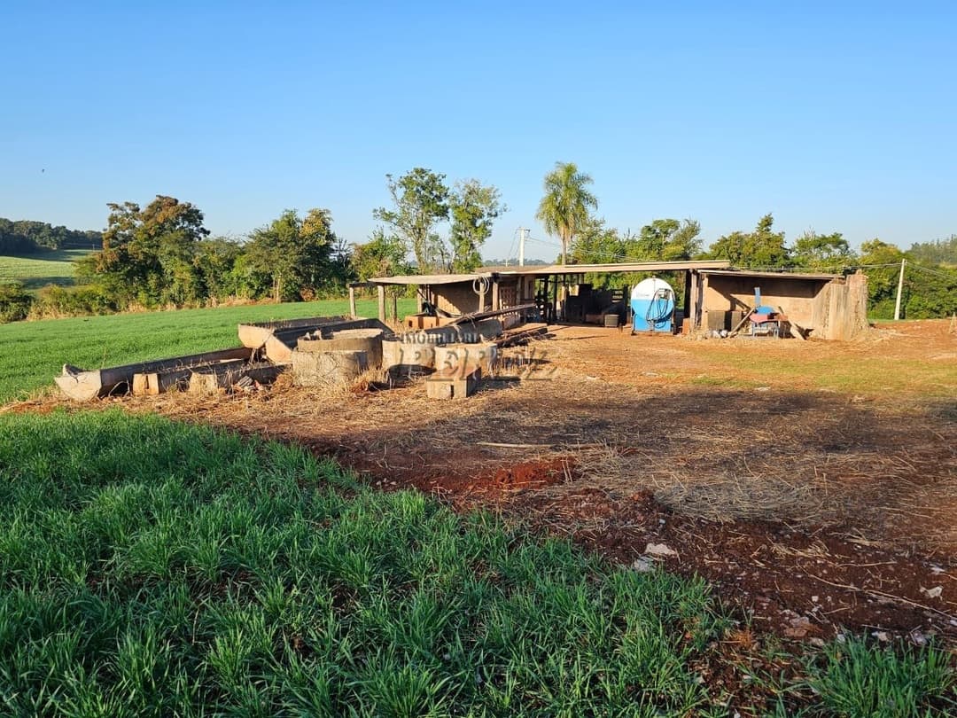 Imóveis Rurais no Fazenda Boa Saúde, de 1 quarto, 200 m² à venda no Area Rural - Paiquerê (Londrina)/PR - Foto 16