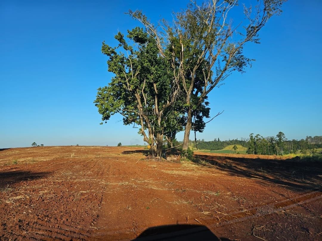 Imóveis Rurais no Fazenda Boa Saúde, de 1 quarto, 200 m² à venda no Area Rural - Paiquerê (Londrina)/PR - Foto 7