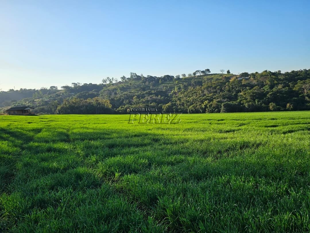 Imóveis Rurais no Fazenda Boa Saúde, de 1 quarto, 200 m² à venda no Area Rural - Paiquerê (Londrina)/PR - Foto 5