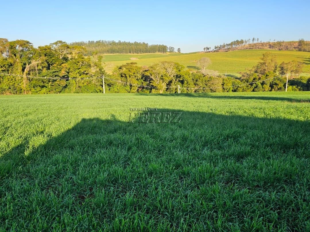 Imóveis Rurais no Fazenda Boa Saúde, de 1 quarto, 200 m² à venda no Area Rural - Paiquerê (Londrina)/PR - Foto 17