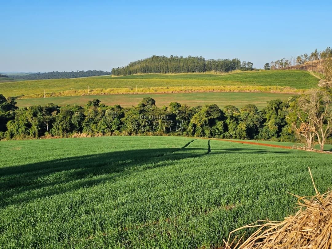 Imóveis Rurais no Fazenda Boa Saúde, de 1 quarto, 200 m² à venda no Area Rural - Paiquerê (Londrina)/PR - Foto 18