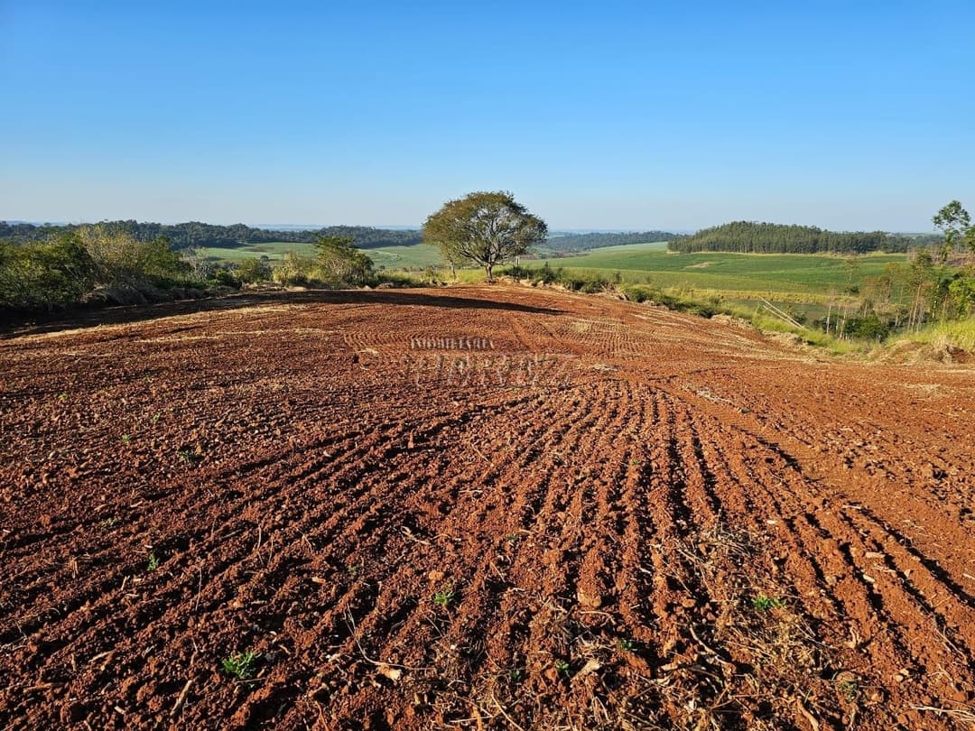 Imóveis Rurais no Fazenda Boa Saúde, de 1 quarto, 200 m² à venda no Area Rural - Paiquerê (Londrina)/PR - Foto 10