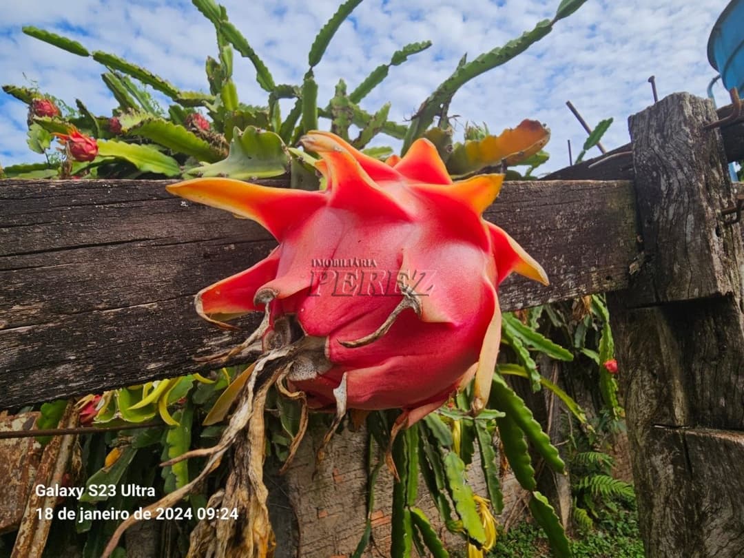 Terrenos no Chácara Fundeio - Rolândia à venda no Jardim Caviúna - Rolândia/PR - Foto 10