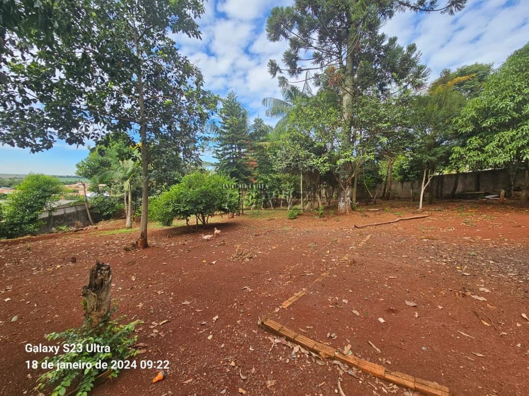 Terrenos no Chácara Fundeio - Rolândia à venda no Jardim Caviúna - Rolândia/PR - Foto 12