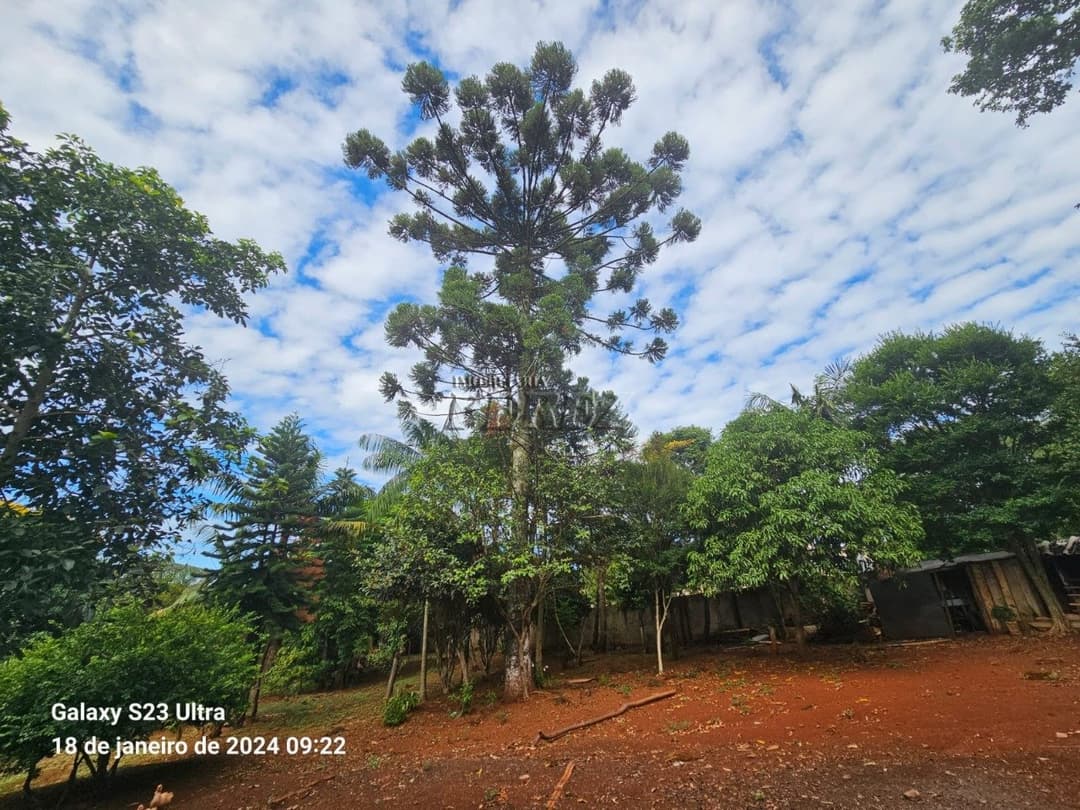 Terrenos no Chácara Fundeio - Rolândia à venda no Jardim Caviúna - Rolândia/PR - Foto 13