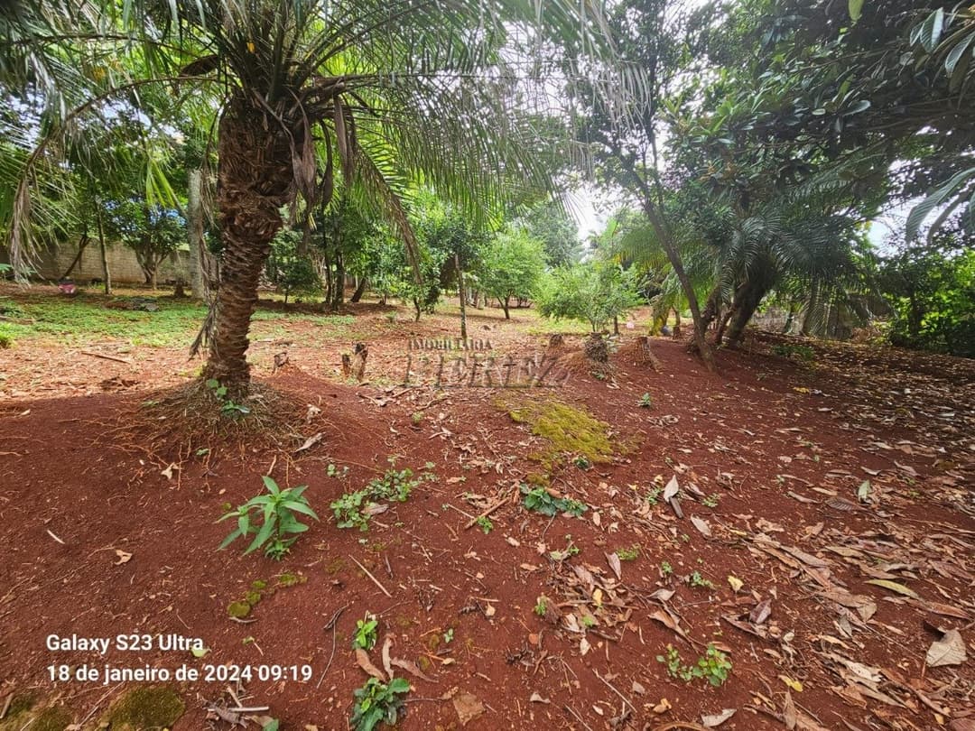 Terrenos no Chácara Fundeio - Rolândia à venda no Jardim Caviúna - Rolândia/PR - Foto 14