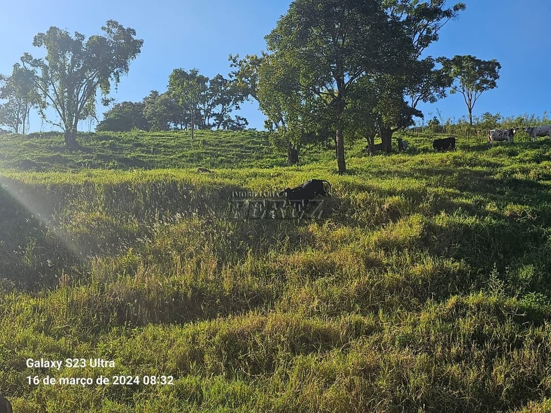 Imóveis Rurais no Sitio São Miguel, de 1 quarto à venda no Guairacá - Guairacá (Londrina)/PR - Foto 3