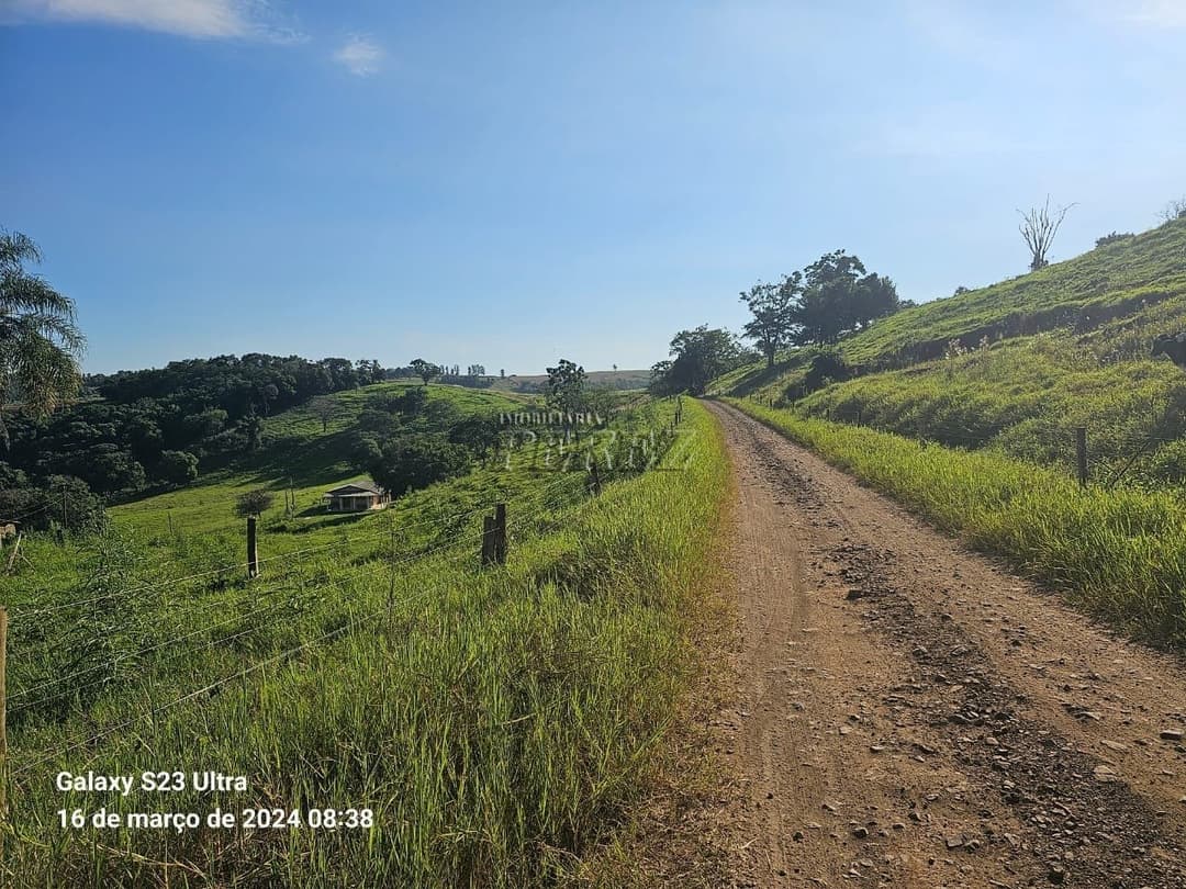 Imóveis Rurais no Sitio São Miguel, de 1 quarto à venda no Guairacá - Guairacá (Londrina)/PR - Foto 4