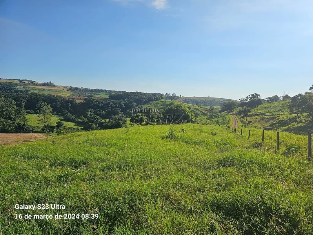 Imóveis Rurais no Sitio São Miguel, de 1 quarto à venda no Guairacá - Guairacá (Londrina)/PR - Foto 6