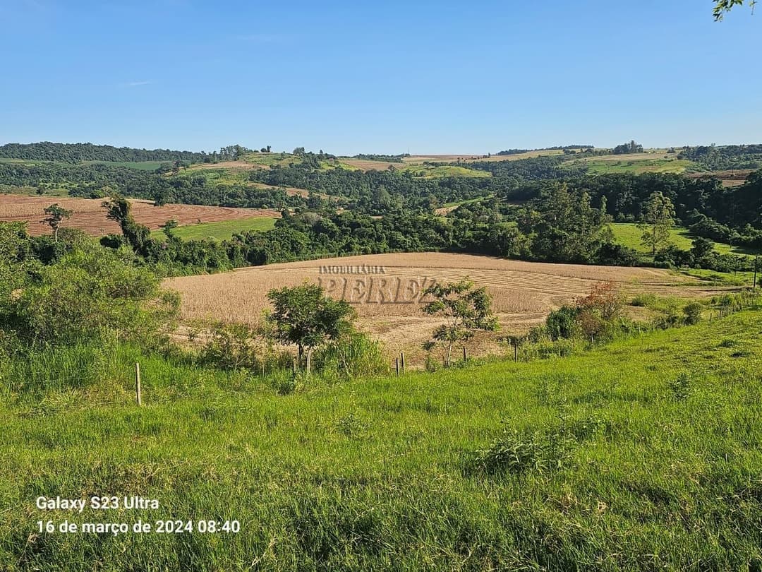 Imóveis Rurais no Sitio São Miguel, de 1 quarto à venda no Guairacá - Guairacá (Londrina)/PR - Foto 7