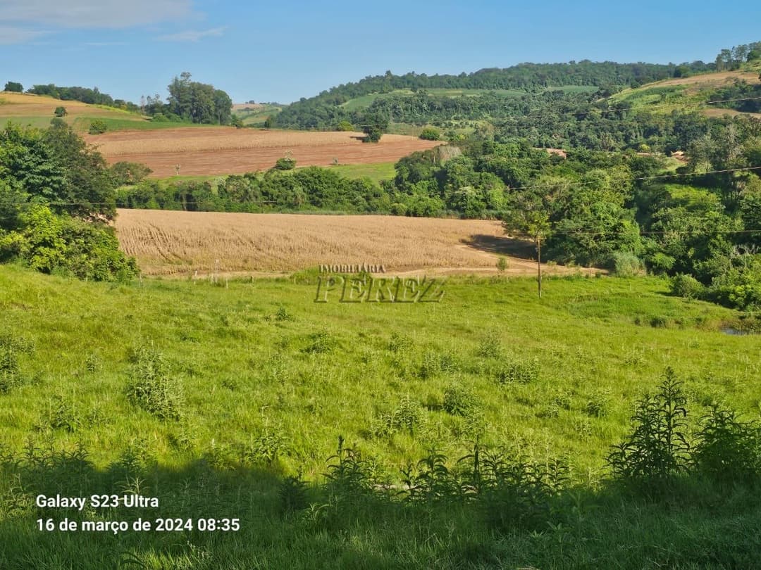Imóveis Rurais no Sitio São Miguel, de 1 quarto à venda no Guairacá - Guairacá (Londrina)/PR - Foto 9