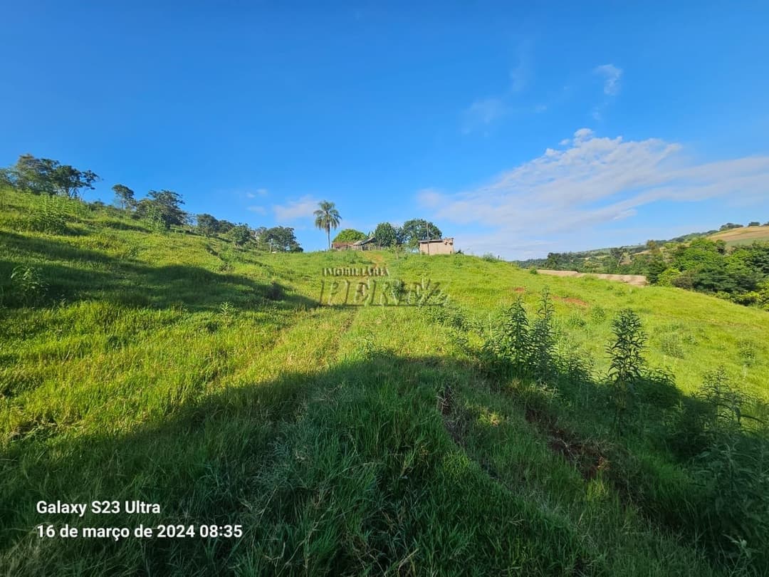 Imóveis Rurais no Sitio São Miguel, de 1 quarto à venda no Guairacá - Guairacá (Londrina)/PR - Foto 10
