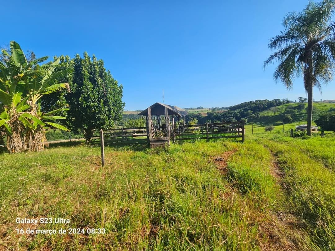 Imóveis Rurais no Sitio São Miguel, de 1 quarto à venda no Guairacá - Guairacá (Londrina)/PR - Foto 12