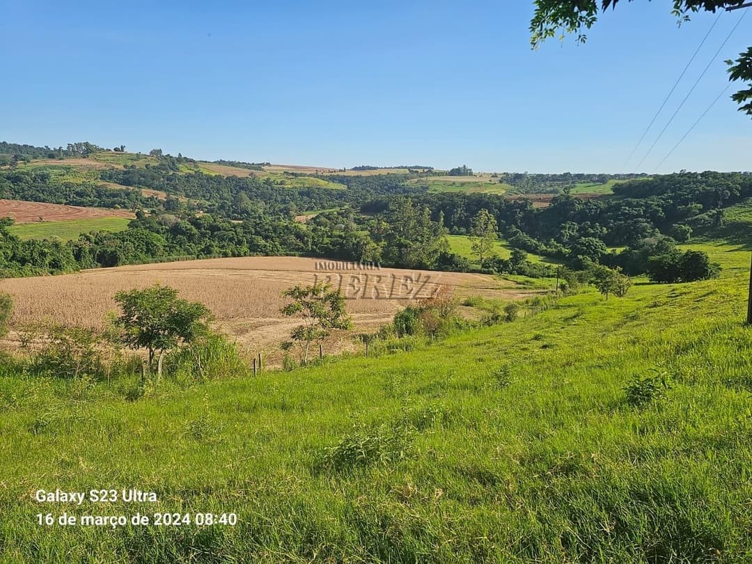 Imóveis Rurais no Sitio São Miguel, de 1 quarto à venda no Guairacá - Guairacá (Londrina)/PR - Foto 14