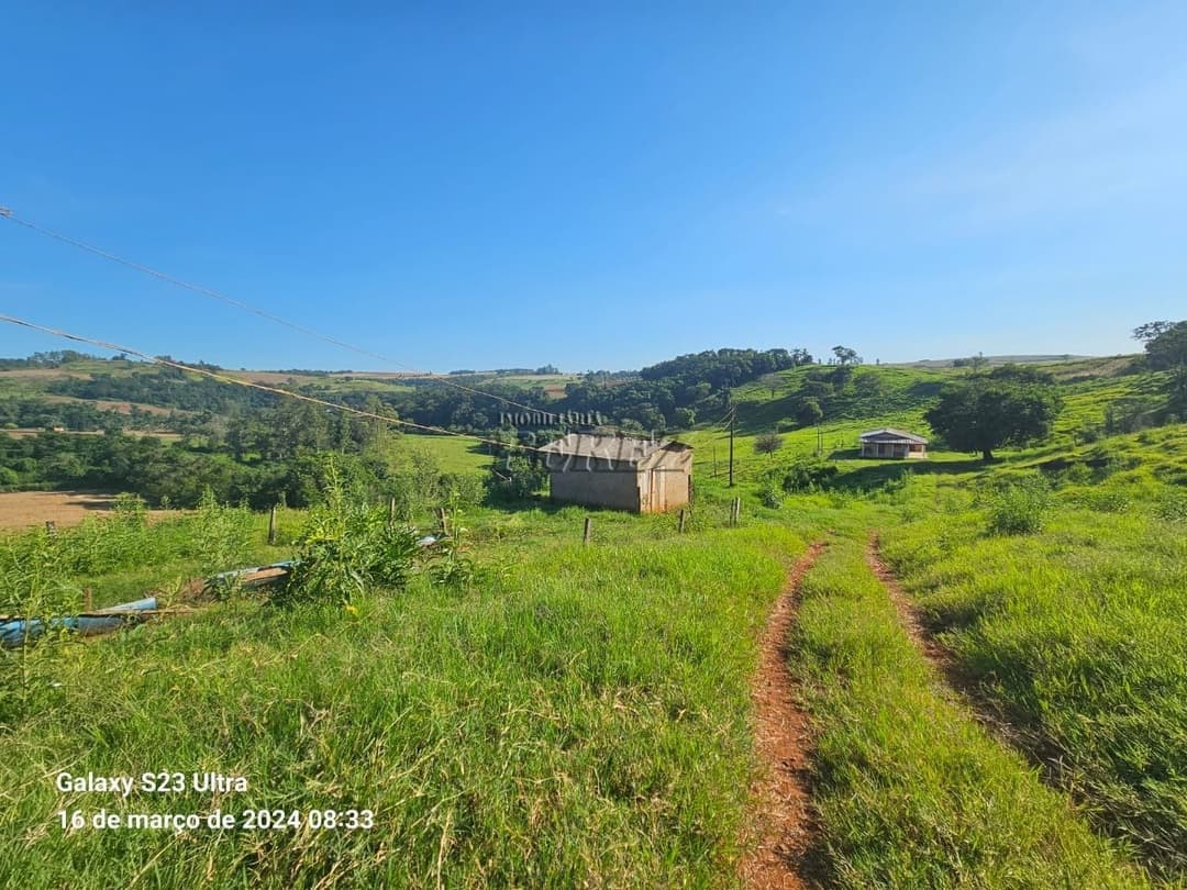 Imóveis Rurais no Sitio São Miguel, de 1 quarto à venda no Guairacá - Guairacá (Londrina)/PR - Foto 17