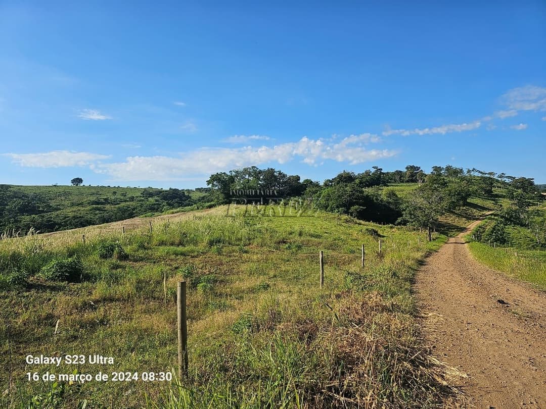 Imóveis Rurais no Sitio São Miguel, de 1 quarto à venda no Guairacá - Guairacá (Londrina)/PR - Foto 20