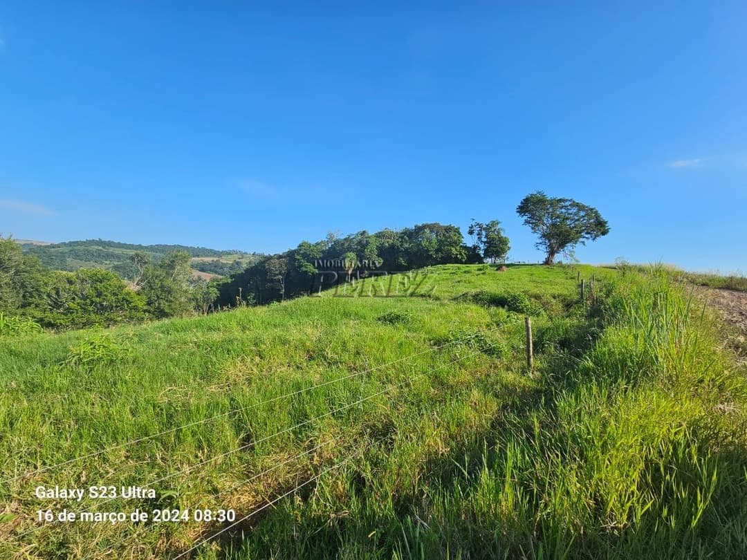 Imóveis Rurais no Sitio São Miguel, de 1 quarto à venda no Guairacá - Guairacá (Londrina)/PR - Foto 21