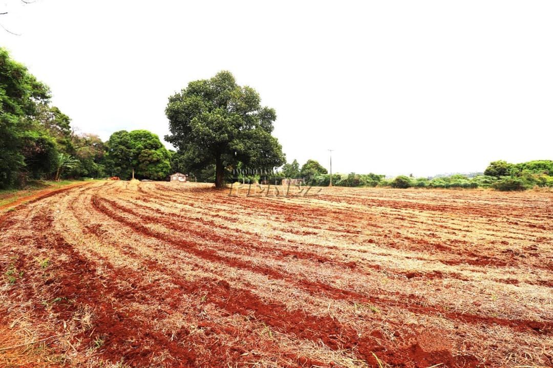 Terrenos à venda no Gleba Lindóia - Londrina/PR - Foto 5