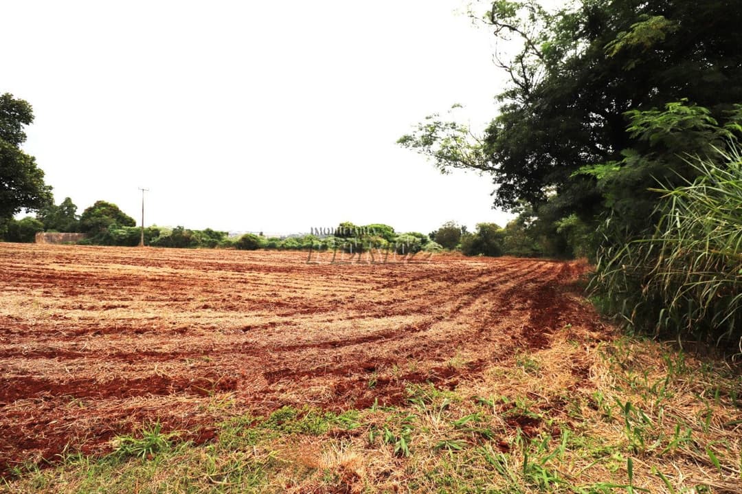 Terrenos à venda no Gleba Lindóia - Londrina/PR - Foto 6